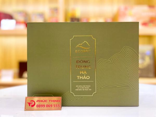 Đông trùng hạ thảo con khô Ecordy 25g